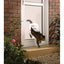 PetSafe Staywell Big Cat Small Dog Pet Door Frosted