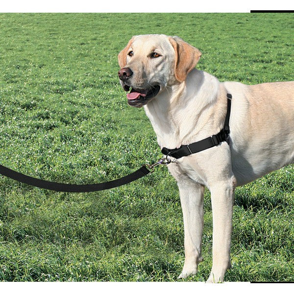 PetSafe Easy Walk Harness - Black