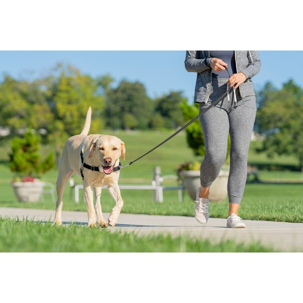 PetSafe Easy Walk Harness - Black