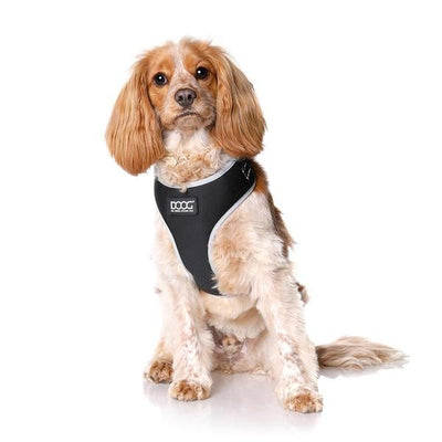 DOOG Neosport Soft Harness - Black