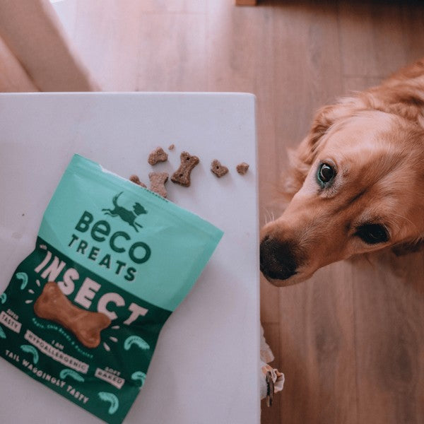 Beco Dog Treats Insect 70g