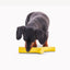 Beco Natural Rubber Super Stick Dog Toy Yellow