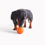 Beco Natural Rubber Fetch Ball Orange