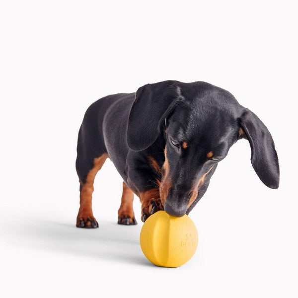 Beco Natural Rubber Fetch Ball Yellow