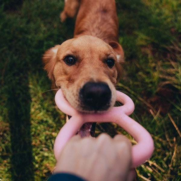 Beco Tugger Natural Rubber Toy Pink