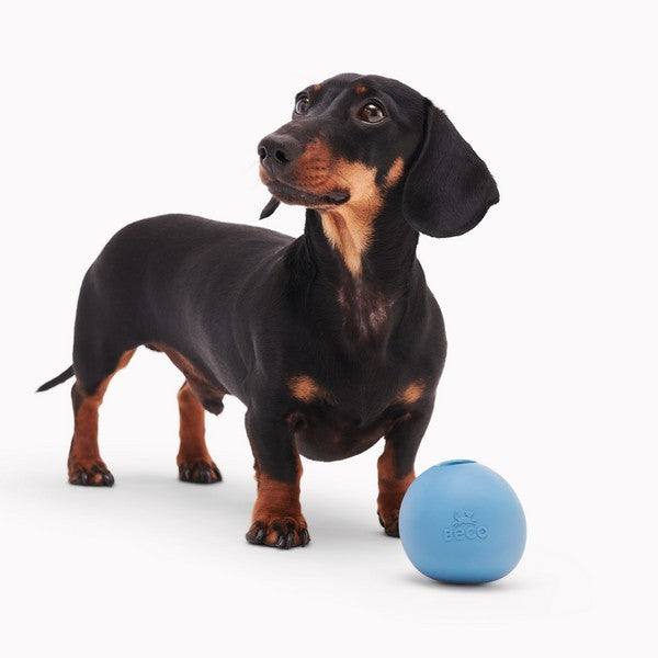 Beco Natural Rubber Ball Toy Blue