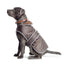 Ancol Stormguard Dog Coat (Various Colours)