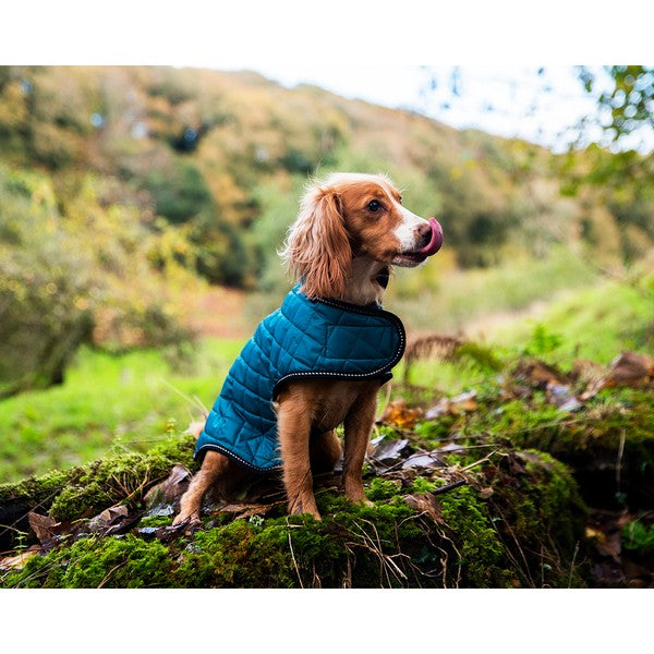 Henry Wag Teal Quilted Dog Jacket Medium 45cm