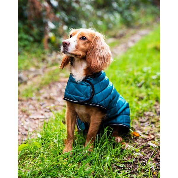 Henry Wag Teal Quilted Dog Jacket Large 55cm