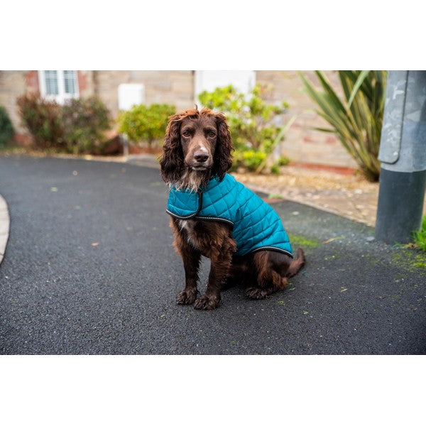 Henry Wag Teal Quilted Dog Jacket Extra Large 65cm