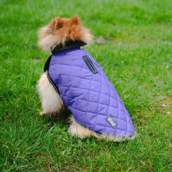 Henry Wag Purple Quilted Dog Jacket Extra Small 35cm