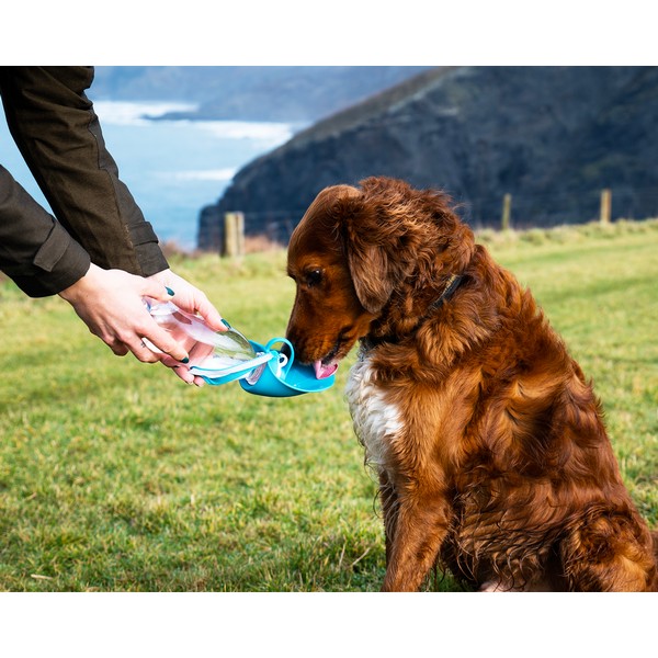 Henry Wag Water Bottle with Leaf Bowl Blue