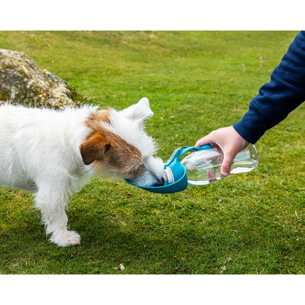 Henry Wag Water Bottle with Leaf Bowl Blue