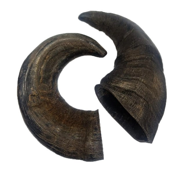 Doodles Deli Air Dried Water Buffalo Horn 1kg