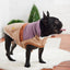 GF Pet Elasto-Fit Retro Puffer Jacket Sand XL