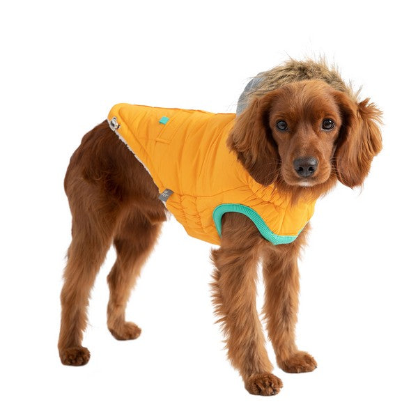 GF Pet Elasto-Fit Winter Sailor Parka Yellow XS