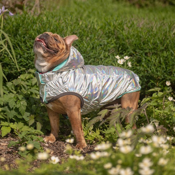 GF Pet Elasto-Fit Reversible Raincoat Neon Aqua Iridescent XXL