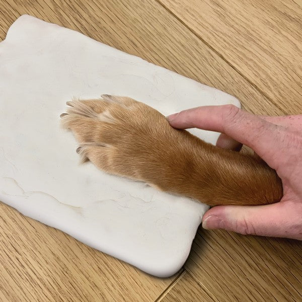 Oh So Precious Paw Print Clay Mould and Photo Frame