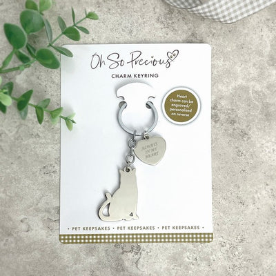 Oh So Precious Cat & Charm Keyring