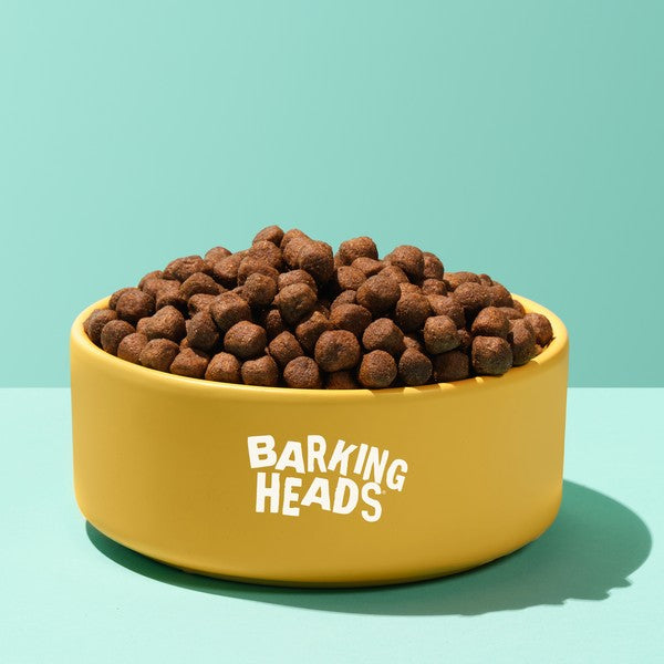 Barking Heads All Hounder Hair Necessities Dog Food