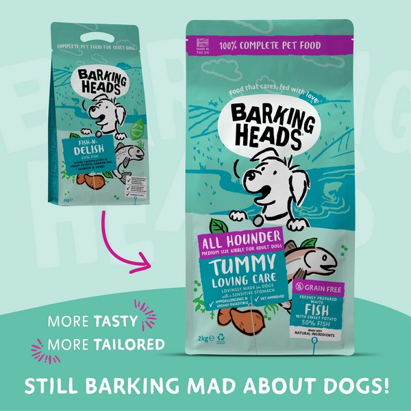 Barking Heads All Hounder Tummy Lovin Care Fish