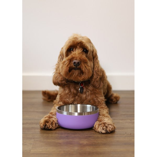 Rosewood Double Wall Stainless Steel Bowl 350ml Lilac