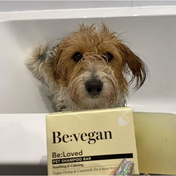 BeLoved Be Vegan Hemp Pet Shampoo Bar 110g