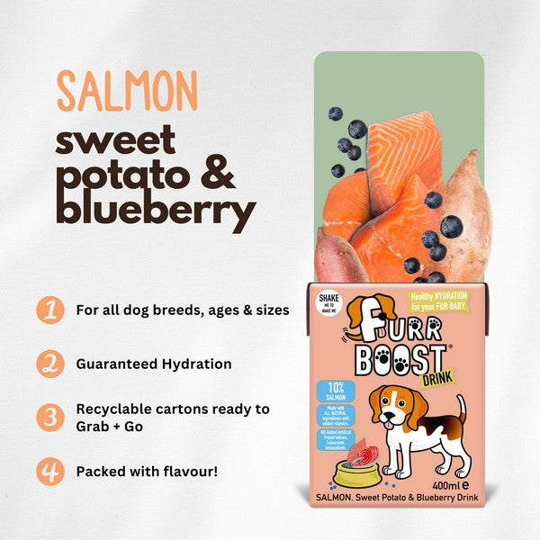 Furr Boost Salmon, Sweet Potato and Blueberry Dog Drink 400ml