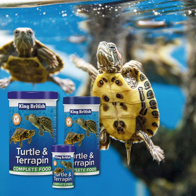 King British Turtle & Terrapin Complete Food 200G