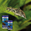 King British Plecostomus Food Tablets 50g