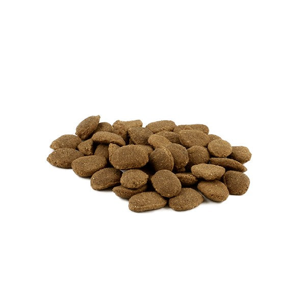 Fish4Dogs Finest Adult Sardine With Sweet Potato (Large Kibble) 6kg