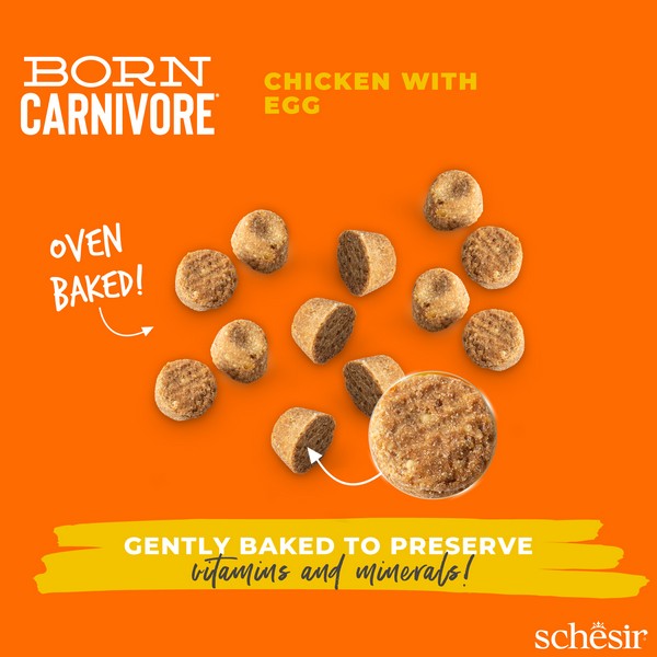 Schesir Dry Born Carnivore Chicken & Egg Adult