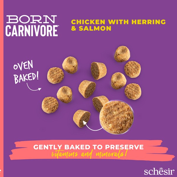 Schesir Dry Born Carnivore Adult Cat Food