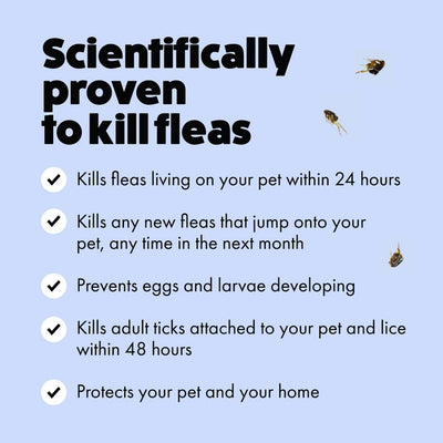 Itch Flea Spot On for Medium Dogs 10 to 20kg 3 Pipettes