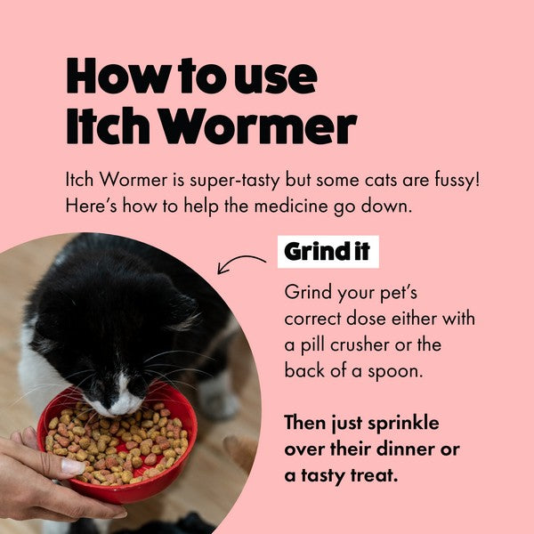 Itch Wormer Tablets for Cats 2 pack