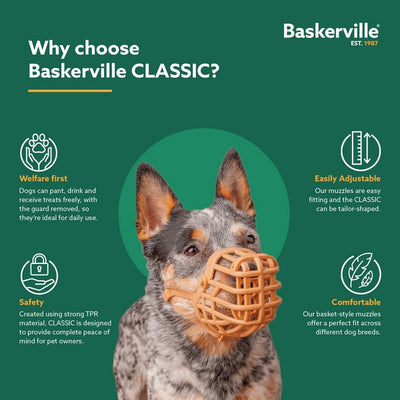 CoA Baskerville Classic Basket Muzzle Size 1