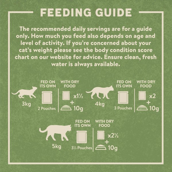 Harringtons Wet Cat Bulk Mixed Jelly 40x85g