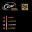 CESAR Natural Goodness Mixed Selection in Loaf 24x100g