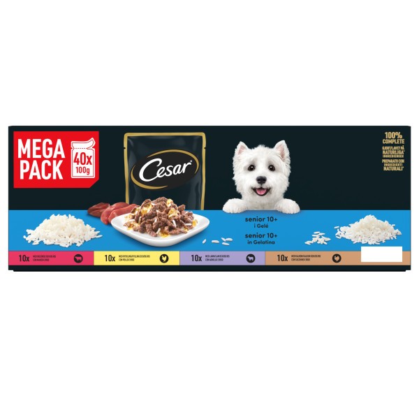 CESAR Senior Dog Pouches Sauce Selection in Jelly 40x100g