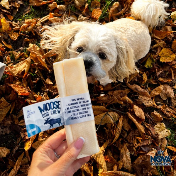 Rauh! Moose Dog Chew Medium 60g