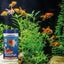 King British Goldfish Sinking Pellets 150g