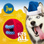 JW Fits All Treat Ball