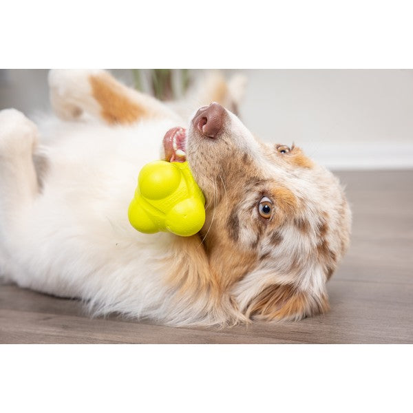 Hyper Pet Chewz Eva Bumpy Ball