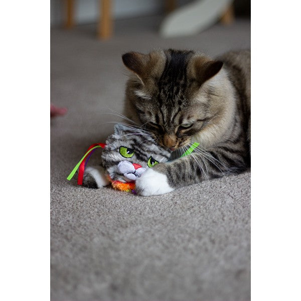 Rosewood Moody Moggy Rainbow Grab Toy