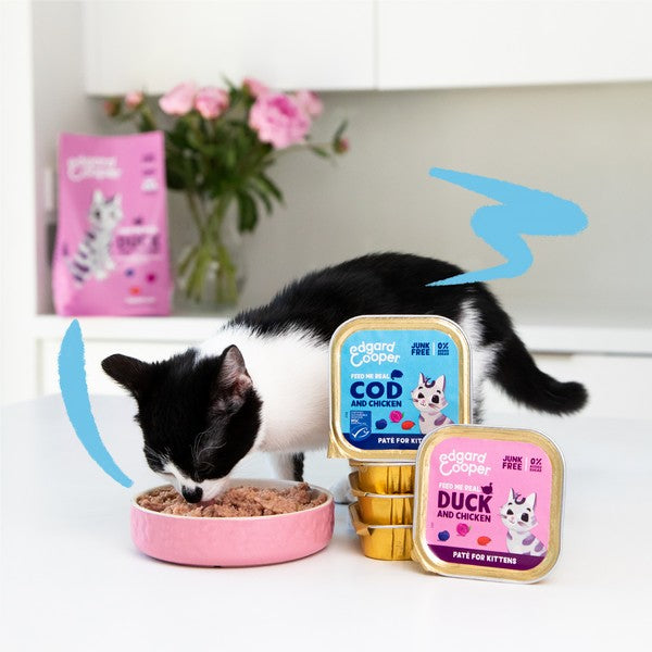 Edgard & Cooper Cat Pate - 85g