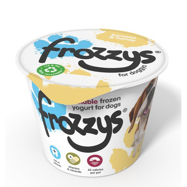 Frozzys Banana and Honey Frozen Yogurt 85g