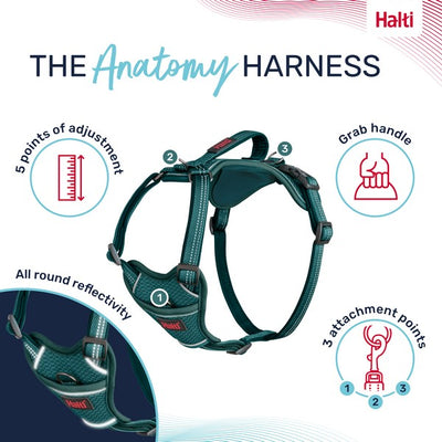 COA Halti Anatomy Dog Harness