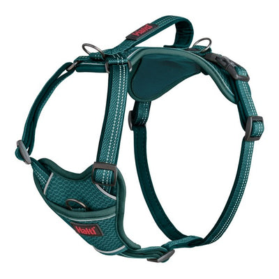 COA Halti Anatomy Dog Harness