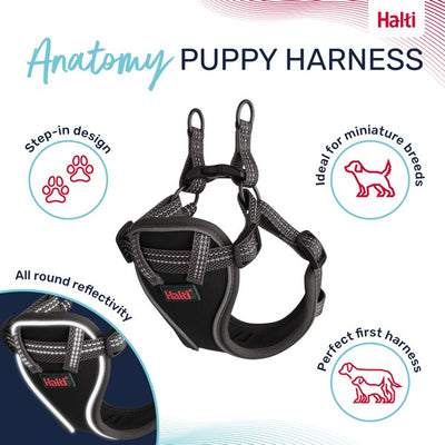 COA Halti Anatomy Puppy Harness