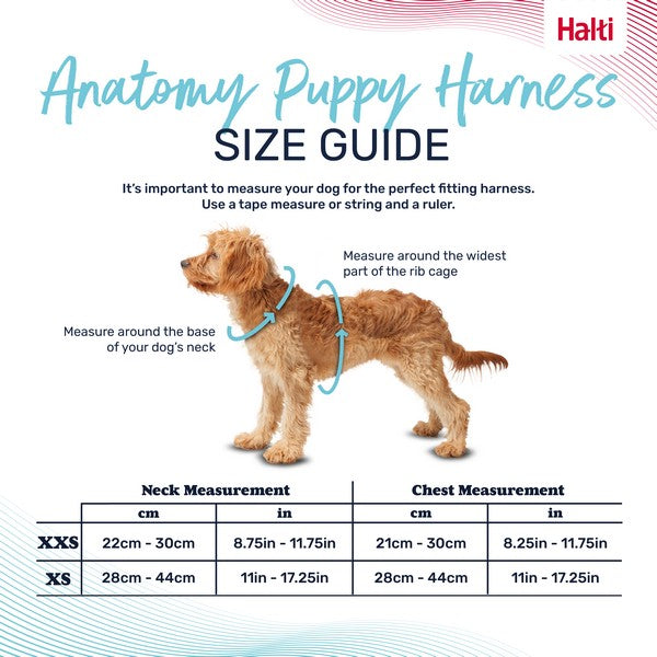 COA Halti Anatomy Puppy Harness